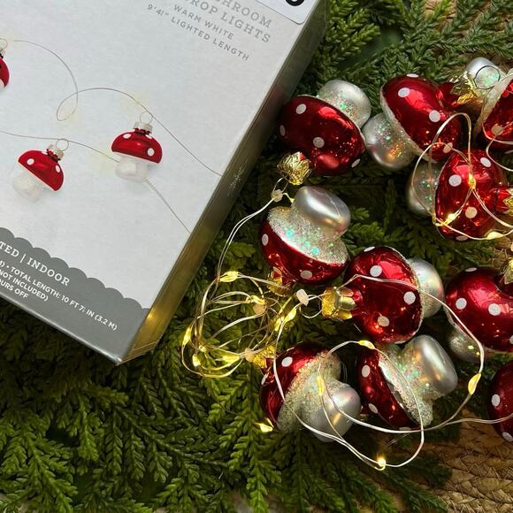 Wondershop Other - Mushroom Dewdrop Lights LED Red Warm White String Timer Battery Operated
